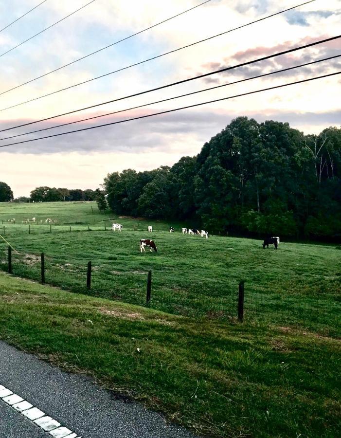 Clemson Farmhouse 빌라 외부 사진